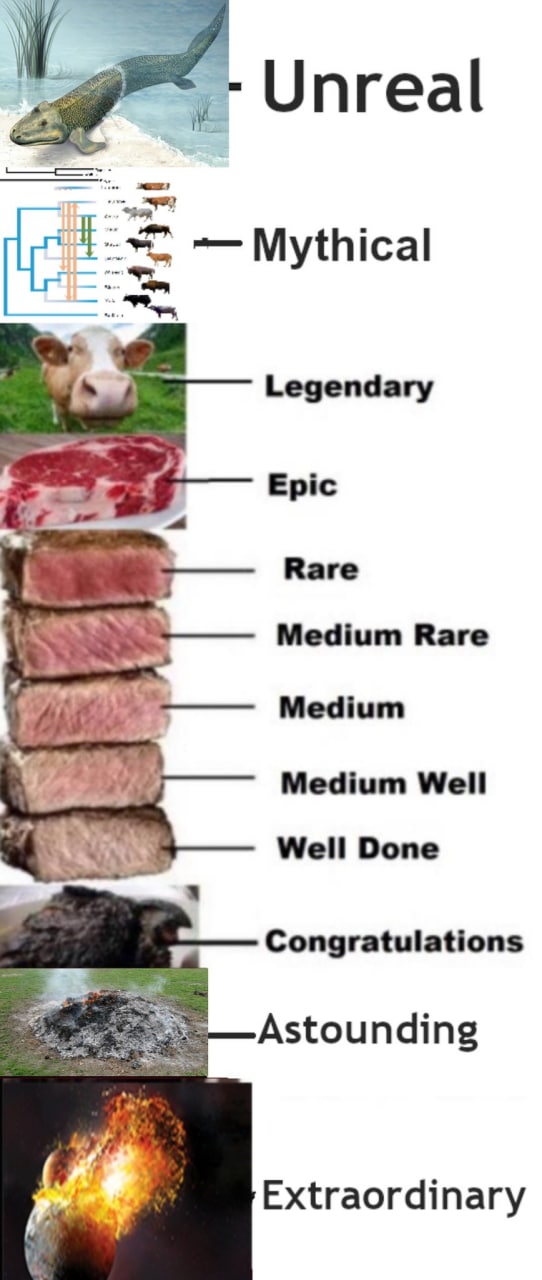 Unreal мы Mythical Legendary Epic Rare Medium Rare Medium Medium Well Well Done Congratulations Astounding Extraordinary