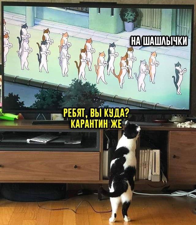 НА ШАШ РЕБЯТ, ВЫ КАРАНТИН ЖЕ* 4