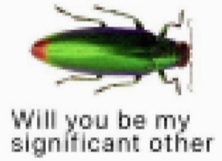 Will you be my significant other