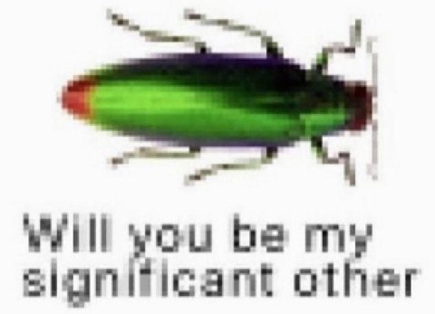 Will you be my significant other