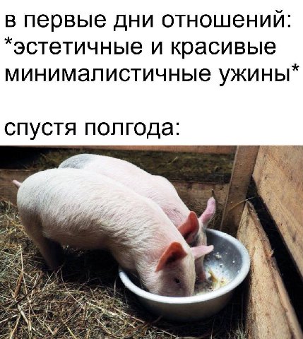 в первые дни отношений: *эстетичные и красивые минималистичные ужины спустя полгода.