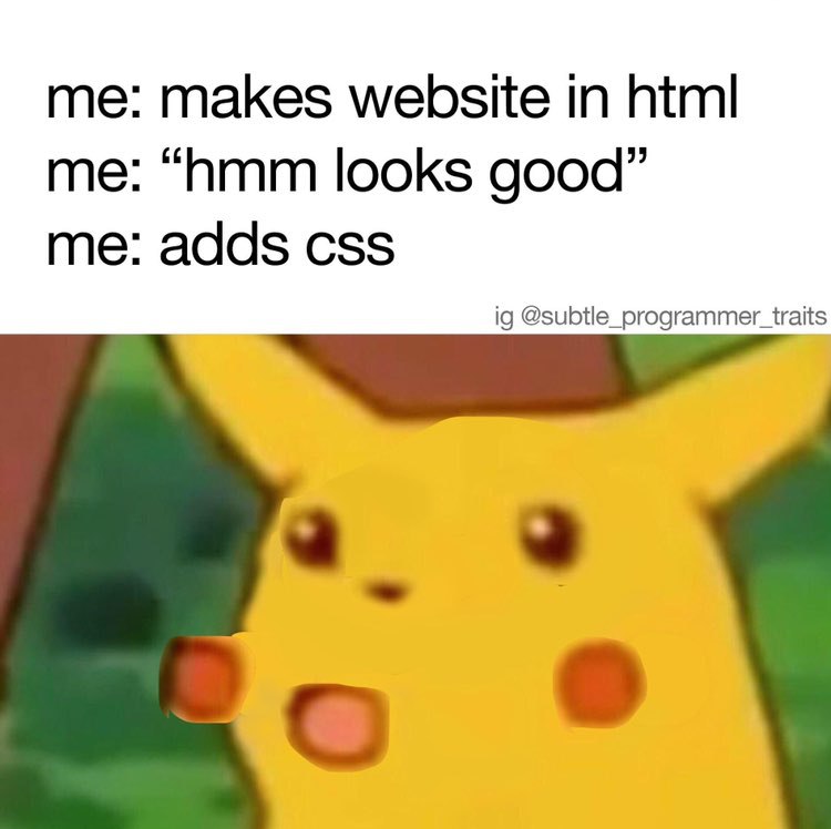 me: makes website in html me: “hmm looks good” me: adds css @subtle_programmer_traits