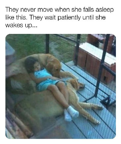 They never move when she falls asleep like this. They wait patiently until she wakes up...