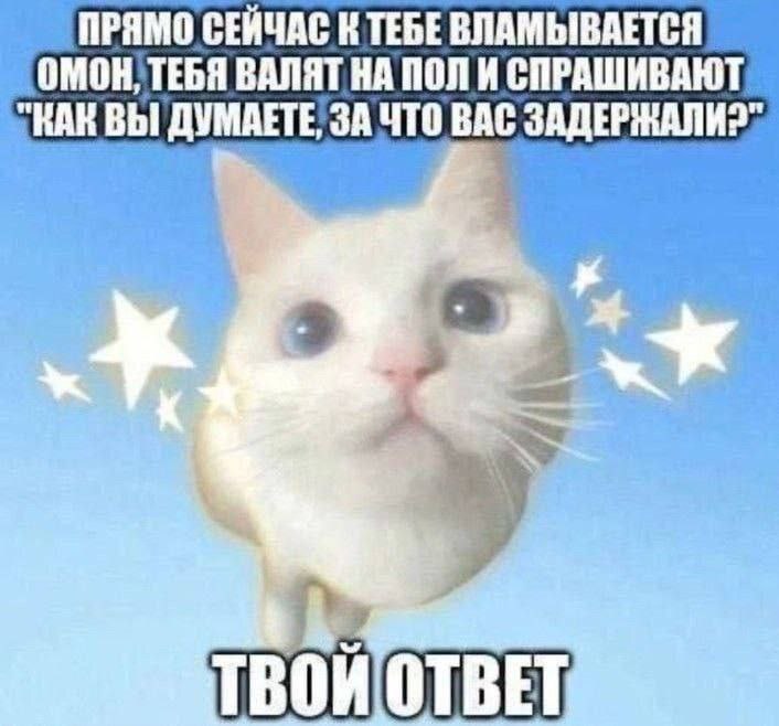 ПРЯМО СЕЙЧАС К ТЕБЕВЛАМЫВАЕТСЯ ОМОН, ТЕБЯ BANAT НА ПОЛ И СПРАШИВАЮТ "КАК ВЫ ЧТО ВАС