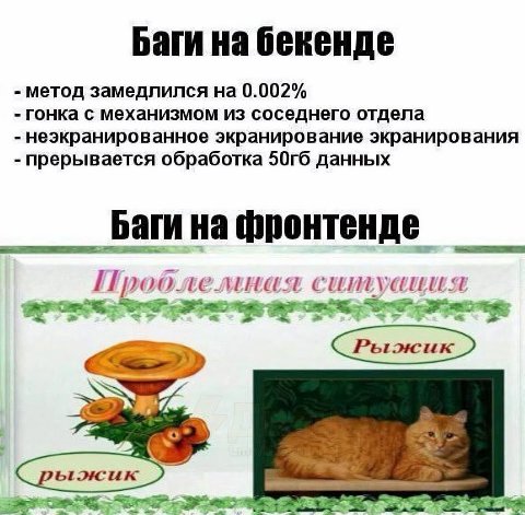 Баги на бекенде метод замедлился на 0.002% гонка с механизмом из соседнего отдела неэкранированное экранирование экранирования прерывается обработка данных Баги на фронтенде ситуация whe