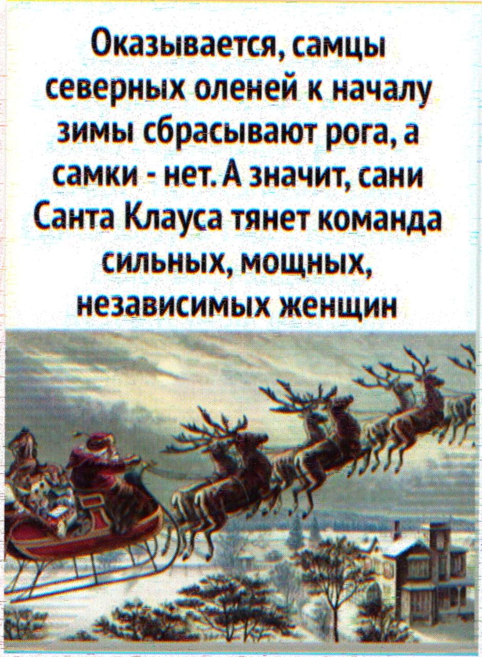 Оказывается, самцы северных оленей к началу зимы сбрасывают рога самки нет. А значит, сани Санта Клауса тянет команда СИЛЬНЫХ, МОЩНЫХ независимых женщин a