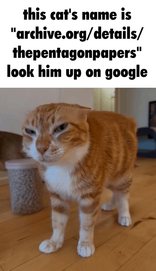 this cat's name is "archive.org/details/ thepentagonpapers" look him up on google