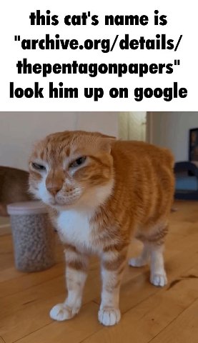 this cat's name is "archive.org/details/ thepentagonpapers" look him up on google