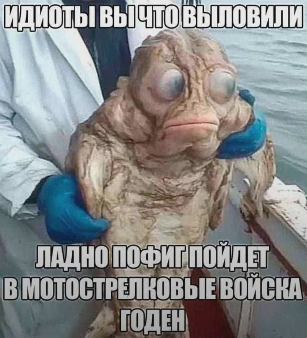 A 4 ЛАДНО ПОФИГПОЙДЕТ