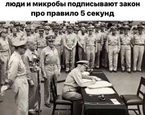 люди и микробы подписывают закон про правило 5 секунд я
