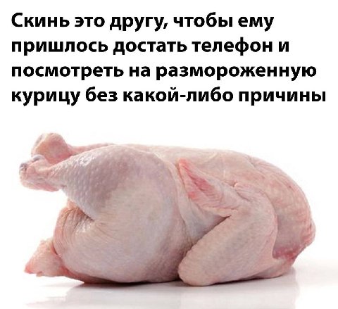 Скинь это другу, чтобы ему пришлось достать телефон и посмотреть на размороженную курицу без какой-либо причины