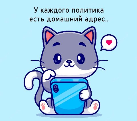У каждого политика есть домашний адрес..