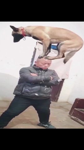 мем