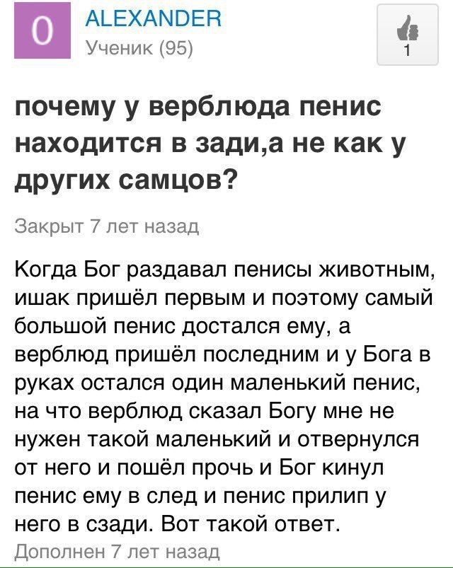 ALEXANDER Ученик (95) почему у верблюда пенис находится в зади,а не как у других самцов? Закрыт 7 лет назад Когда Бог раздавал пенисы животным, ишак пришёл первым и поэтому самый большой пенис досталс