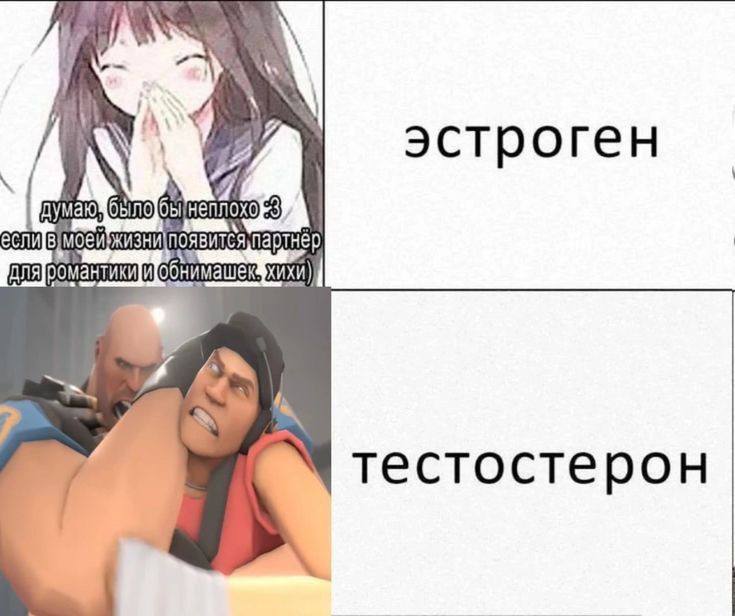 2 эстроген Я если партнёр ДлЯ тестостерон