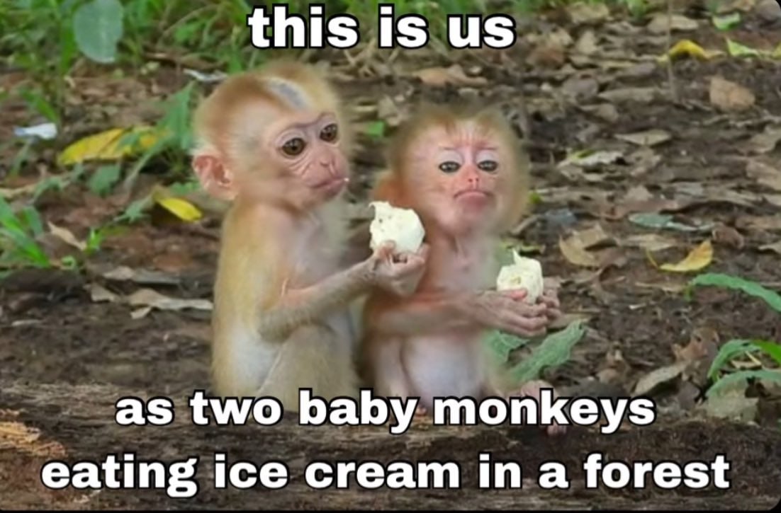 this is as two baby monkeys eating ice cream in a forest