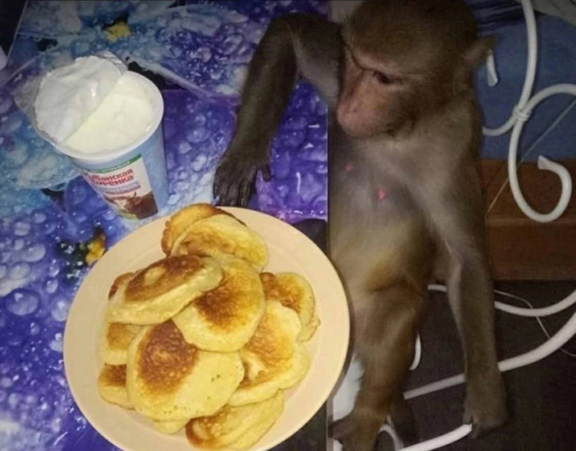 а а а 4