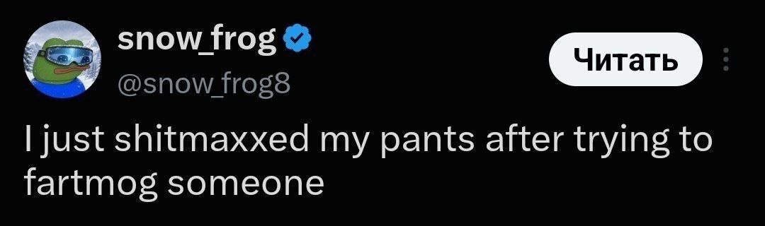 snow frog just shitmaxxed my pants after trying to fartmog someone
