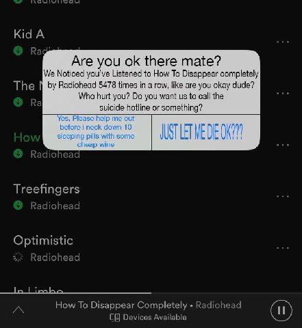 Are you there mate? We Noticed you’ve Listened to How To Disappear completely 5478 times in a row, like are you okay Who hurt you? you want to call the suicide hotline or something? Yes, Please help т
