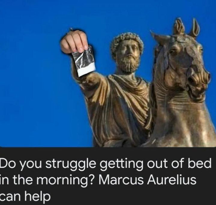 Thank you Marcus