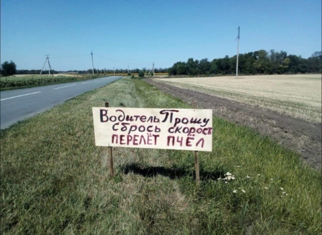 Boduren Сбрось кор ПЕРЕЛЕТ ПЧЕЛ