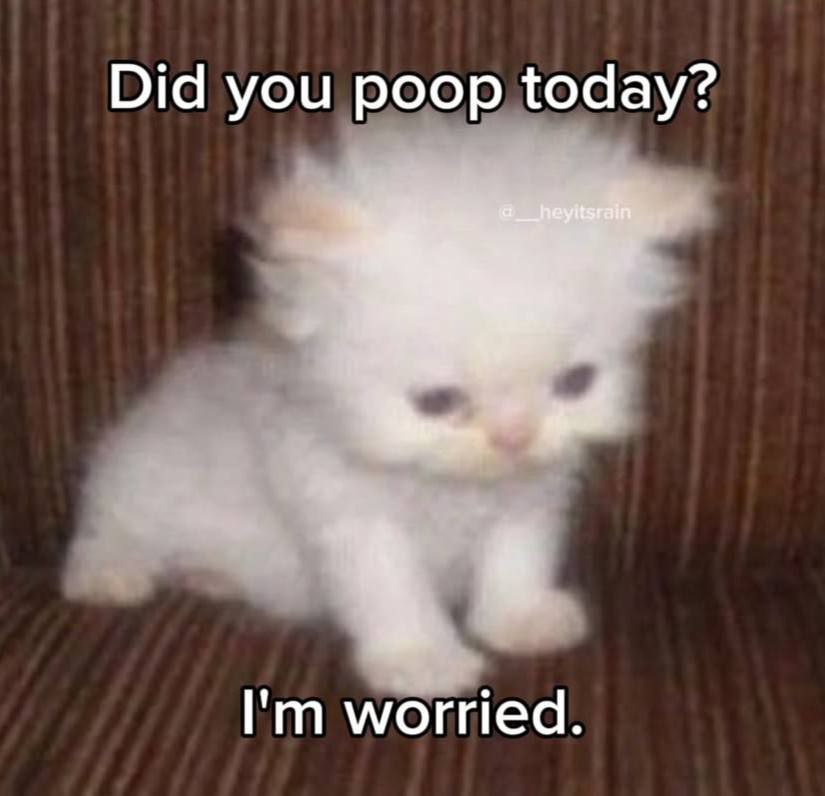 Did you poop today? worried.