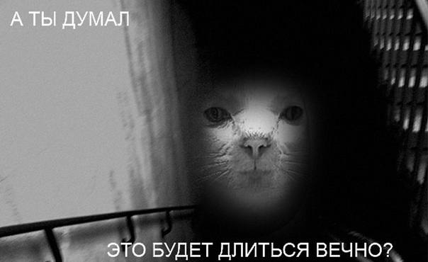 Я опять так и не понял. Ничто.