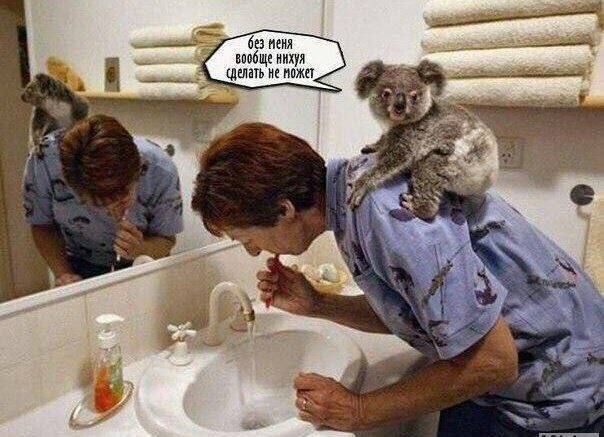 меня вообще нихуя He может wee 5 у