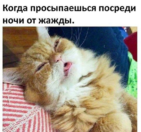 Когда просыпаешься посреди ночи от жажды. a 2 4 a 4