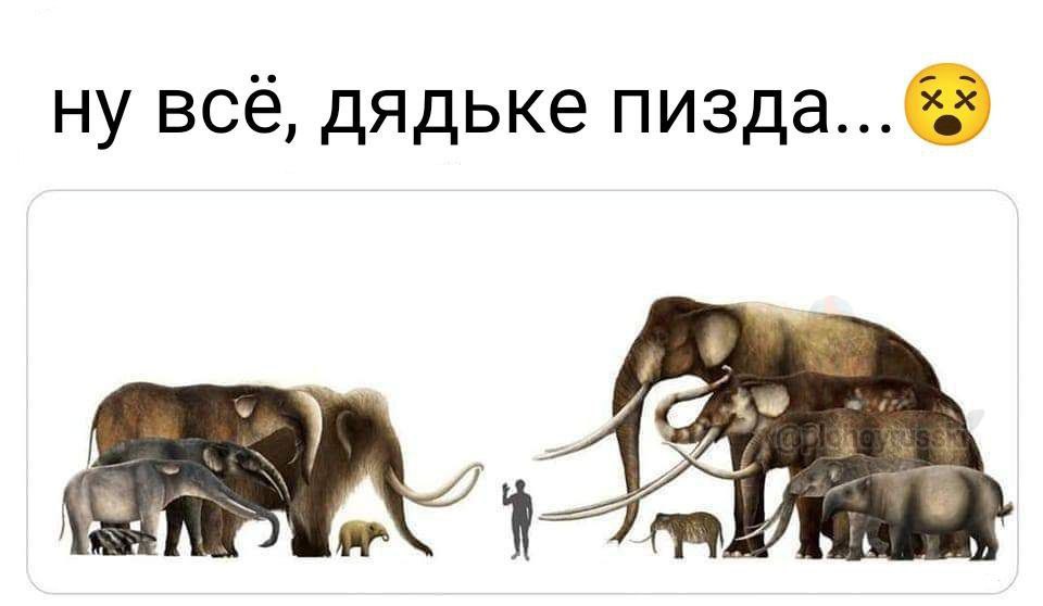 ну все, дядьке пизда...