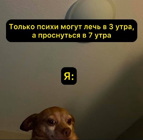 Только психи могут лечь в 3 утра, а проснуться в 7 утра Я