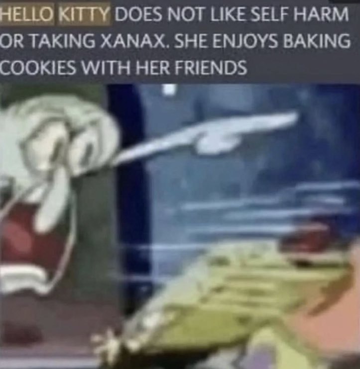 HELLO KITTY DOES NOT LIKE SELF HARM OR TAKING ХАМАХ. SHE ENJOYS BAKING COOKIES WITH HER FRIENDS