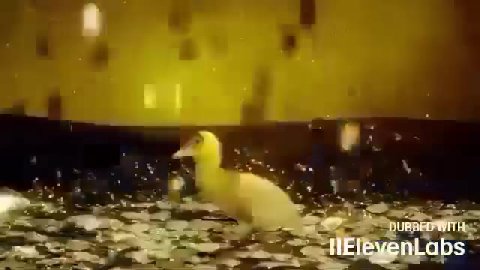 мем