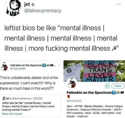 @lainsupremacy leftist bios be like "mental illness mental illness mental illness mental illness more fucking mental illness 2" Felinekin on the 2 а @ThatJetGirl This is unbelievably ableist and white