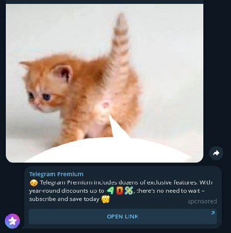 Telegram Premium Telegram Premium includes dozens of exclusive features. With year-round discounts up to 4 there’s no need to wait subscribe and save today ОРЕМ ИМК