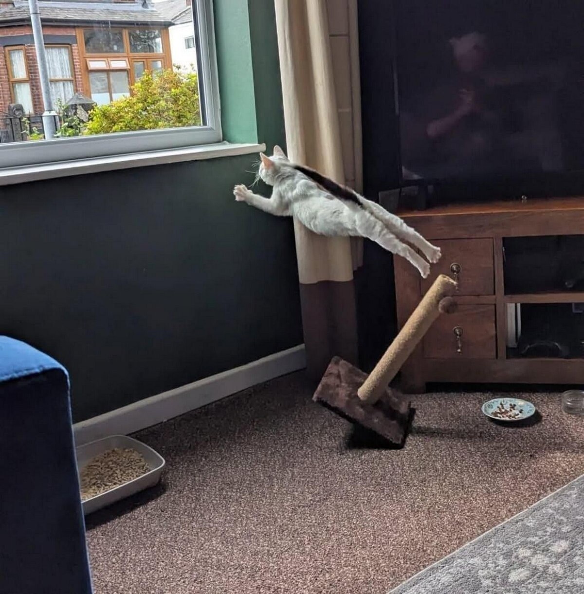 We