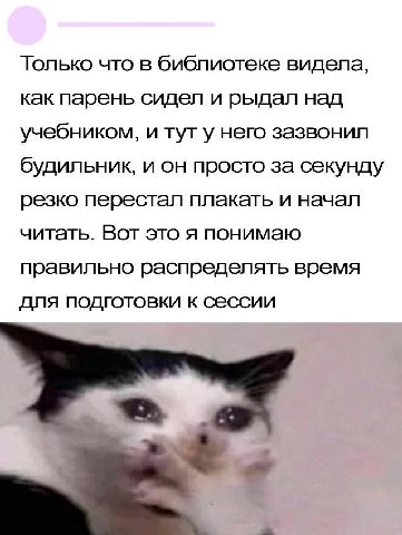 Только что в библиотеке видела, как парень сидел и рыдал над учебником, и тут у него зазвонил будильник, и он просто за секунду резко перестал плакать и начал читать. Вот это я понимаю правильно распр
