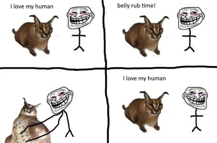 belly rub time! love my human a love my human