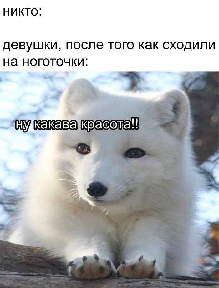 Никто: девушки, после того как сходили на ноготочки: