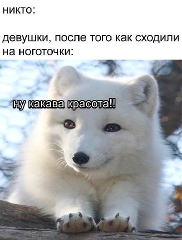 Никто: девушки, после того как сходили на ноготочки: