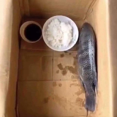your sushi, retard