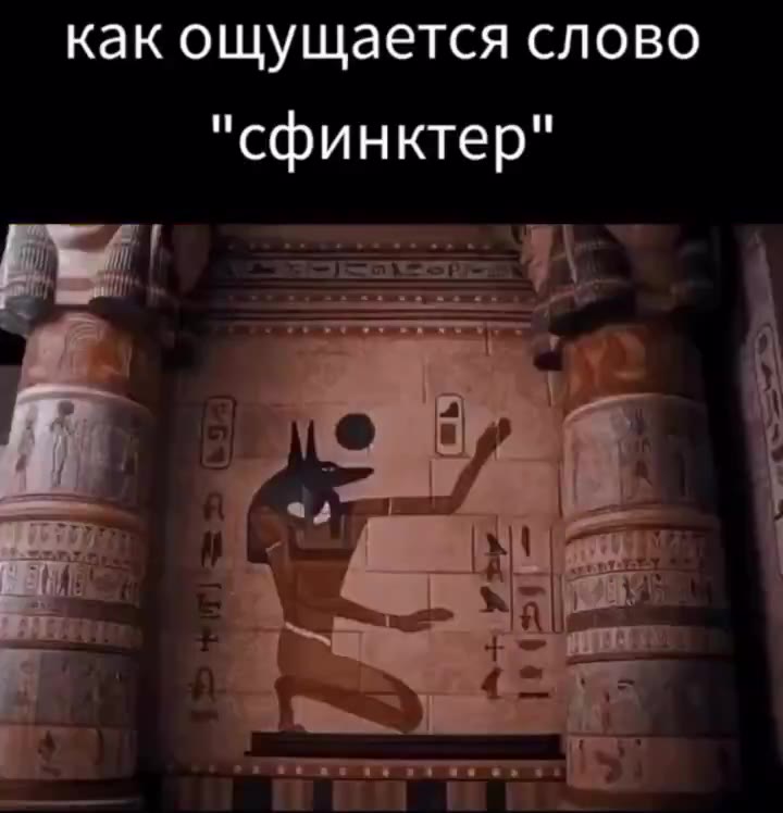 как ощущается слово "сфинктер"