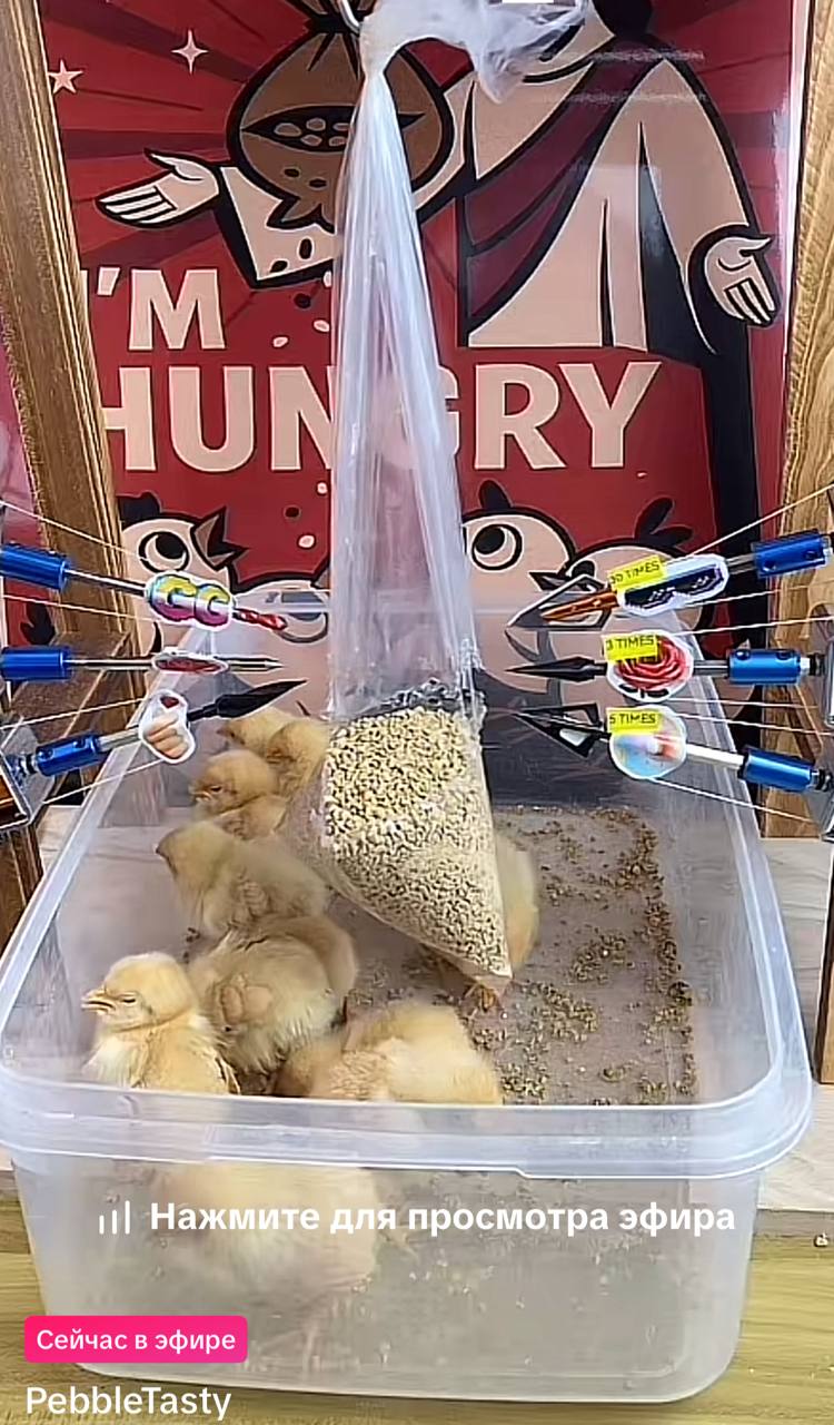 i Я и 7 i\ ANN i с’. YESS 1 Нажмите для просмотра эфира, Сейчас в эфире PebbleTasty