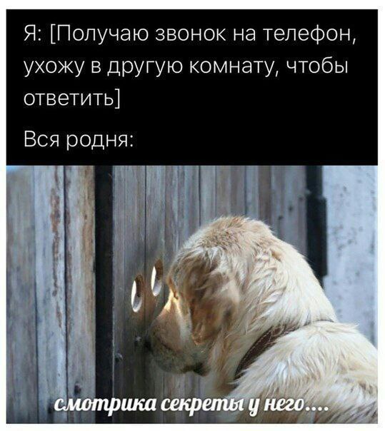 Я: [Получаю звонок на телефон, ухожу в другую комнату, чтобы ответить] Вся родня: 4%. смотрика секрепил у него...
