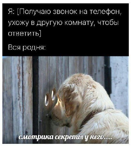 Я: [Получаю звонок на телефон, ухожу в другую комнату, чтобы ответить] Вся родня: 4%. смотрика секрепил у него...