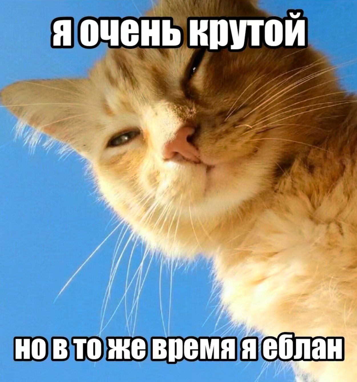 я очень крутой Я TO же