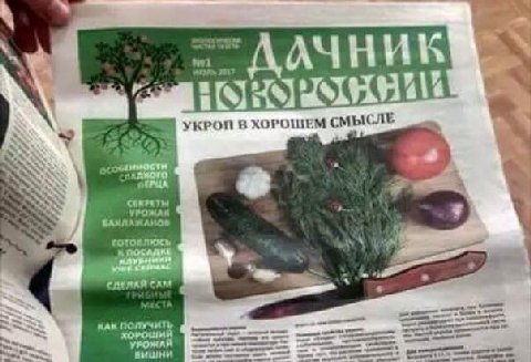 2917 УКРОЙ В ХОРОШЕМ СМЫСЛЕ a УРОЖАИ кАК ПОЛУЧИТЬ вишни