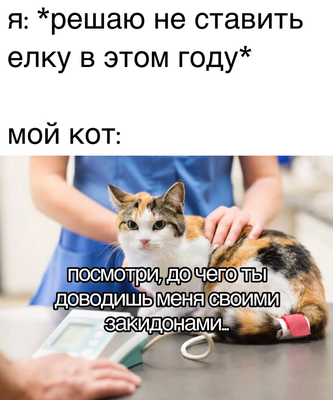 я: *решаю не ставить елку в этом году* МОЙ КОТ: ДОВОДИШЬ