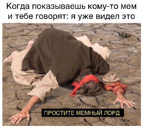 Когда показываешь кому-то мем и тебе говорят: я уже видел это ПРОСТИТЕ МЕМНЫЙ ЛОРД