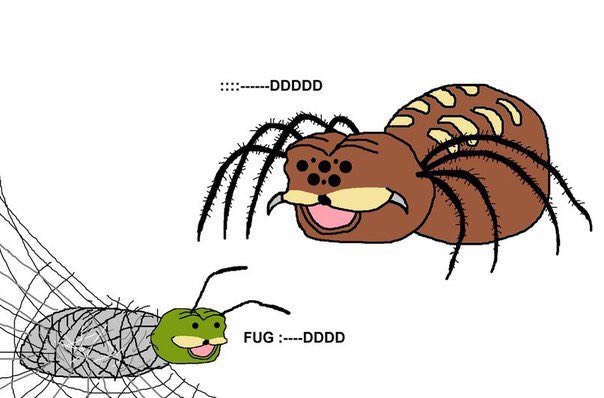 ------DDDDD FUG ---DDDD